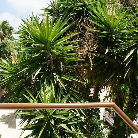 Limnaria Westpark 129 Paphos